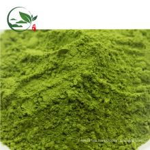 Hot Sale Organic Matcha Powder